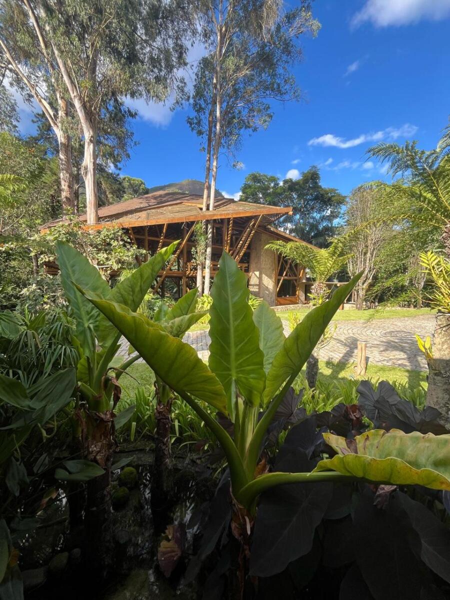 Casa Paraqueira Araras, galeria publicada pela Timbau Estruturas, foto 25