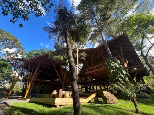 Cas-Petropolis-21