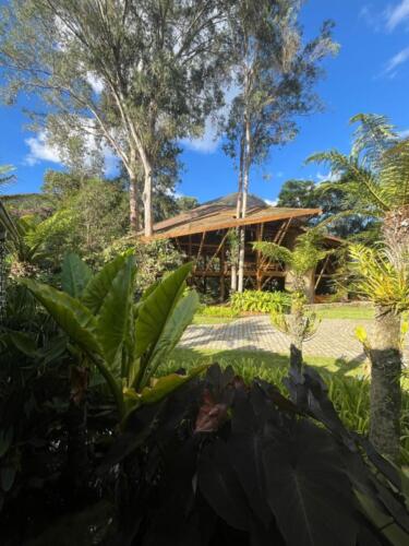 Cas-Petropolis-26