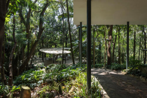 Casa-de-Vidro-44