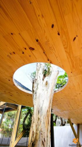 ConceptSchool 049