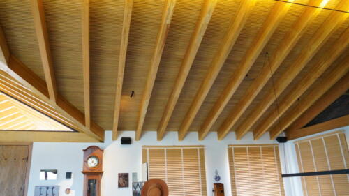 DSC06095