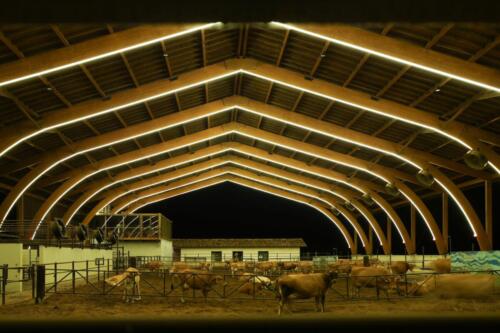 Galpao-Agricola-Final-10
