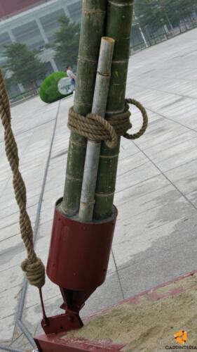 Shenzhen 005