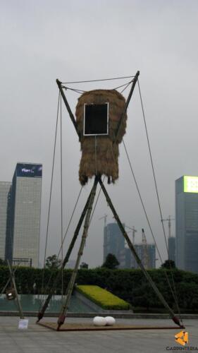 Shenzhen 006