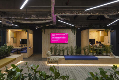 weedo office