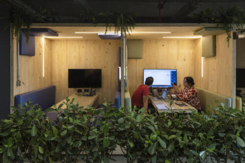 weedo office