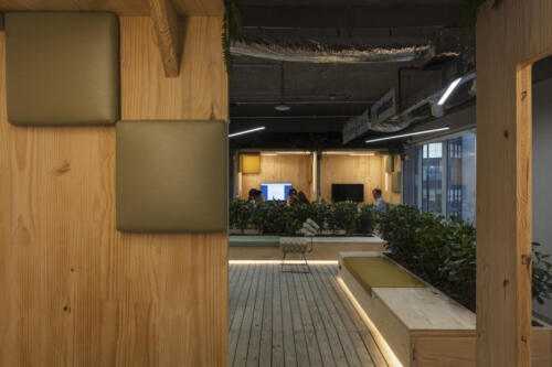 weedo office